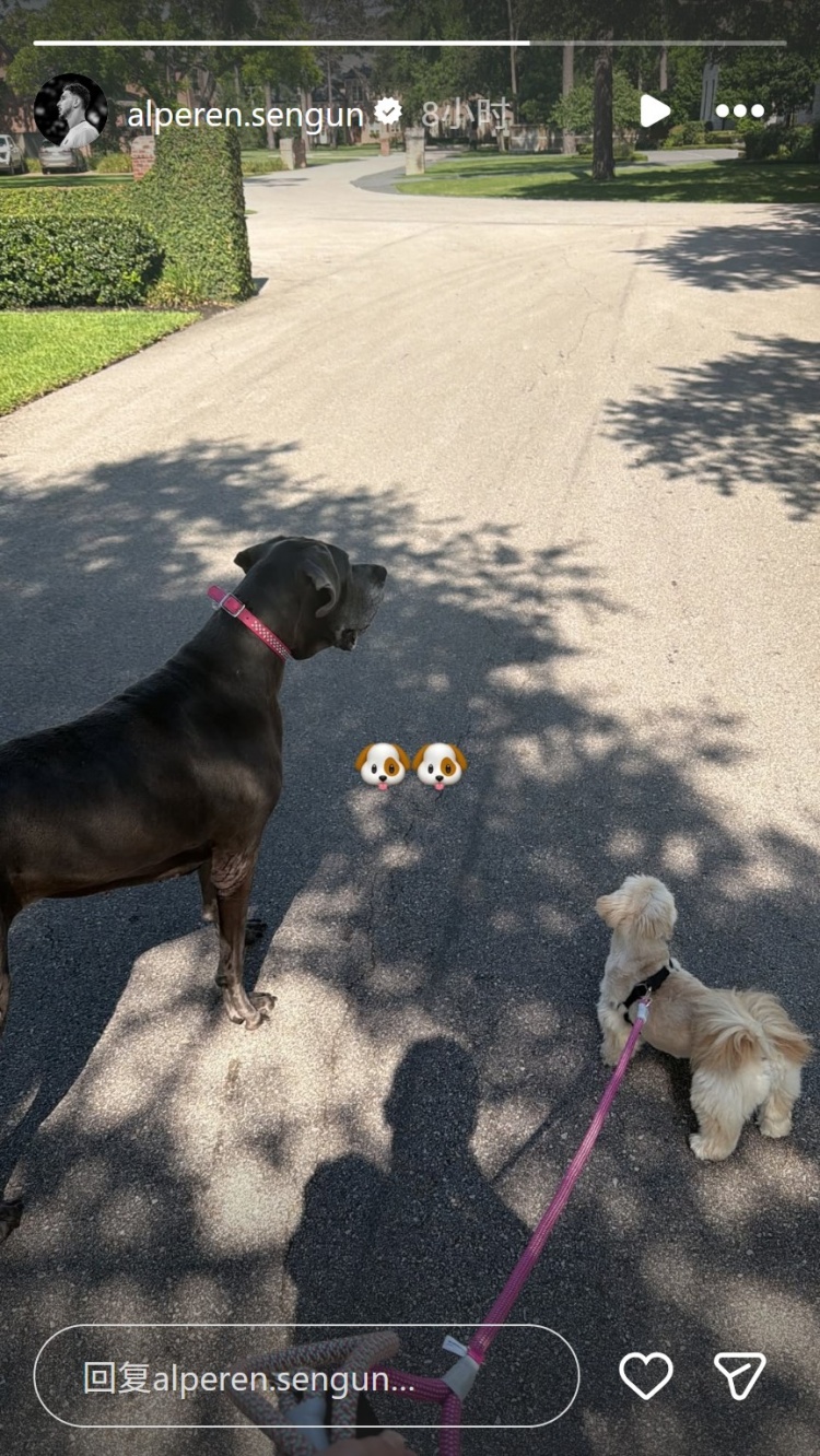 早早开启假期！申京INS晒出休赛期遛狗动态